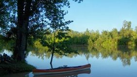Tigre y San Fernando, juntos por un Delta sustentable