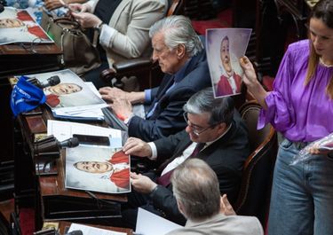 Espert criticó a Hebe de Bonafini y desató un escándalo en Diputados