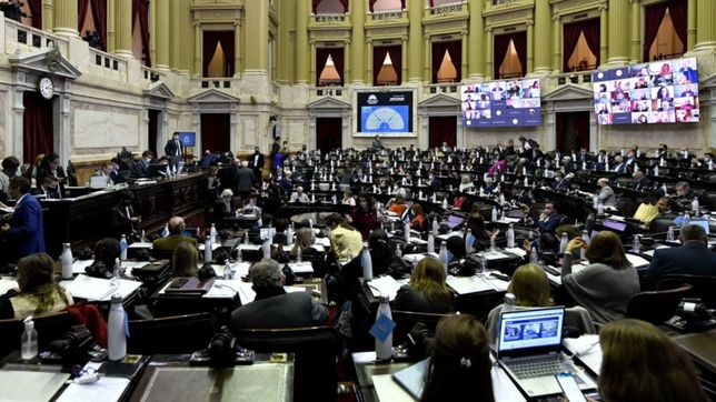 diputados analizo la actualidad y los desafios de los sistemas de adopcion
