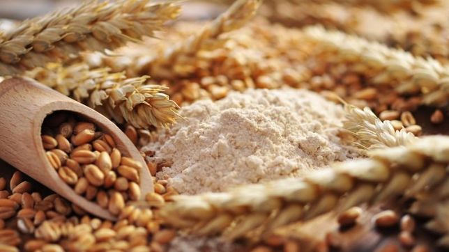 pymes molineras alertaron sobre una severa crisis del sector