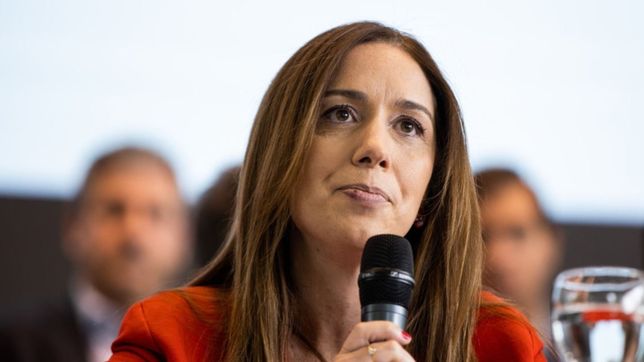 malestar en juntos por la lapicera de vidal