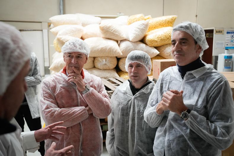 Schiaretti, Domenichini y Randazzo.