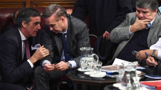 los dilemas del gobierno y el pichettismo tras la batalla de las tarifas