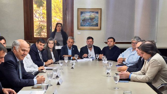 La Mesa de Diálogo por la Barerra Sanitaria se reunió el lunes en Buenos Aires. 