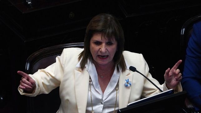 Patricia Bullrich, en el Senado.&nbsp;