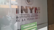 Decretazo: la Justicia de Misiones otorgó una cautelar para preservar el instituto yerbatero
