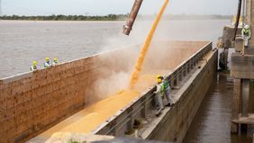 El agro adelanta retenciones para cubrirse con un dólar barato.