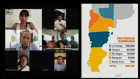 Los gobernadores de la Patagonia piden que el Congreso trate en extraordinarias la emergencia ígnea.
