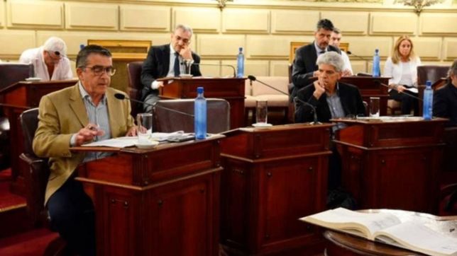 perotti alinea al peronismo discolo y madura la emergencia en el senado