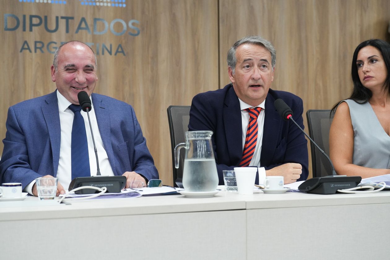 José Peluc y Nicolás Mayoraz, diputados de La Libertad Avanza. Están a cargo de la audiencia por glaciares.&nbsp;&nbsp;