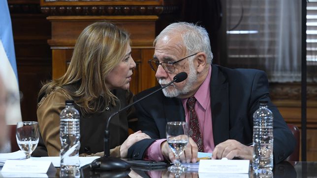 Juan Carlos Pagotto, senador de La Libertad Avanza, leal a Karina Milei. &nbsp; &nbsp;