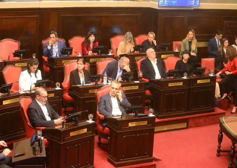 El bloque de UP en el Senado bonaerense.