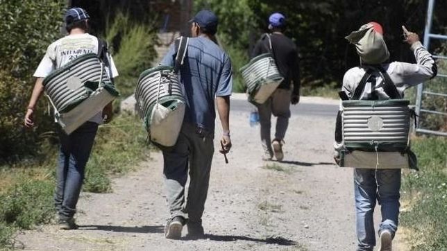 aluvion de trabajadores migrantes pone en aprietos al gobierno de rio negro