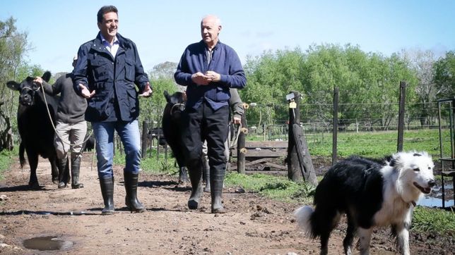 el laberinto bonaerense de alternativa federal