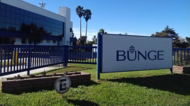 investigan si bunge evadio 100 millones de dolares con exportaciones fantasmas