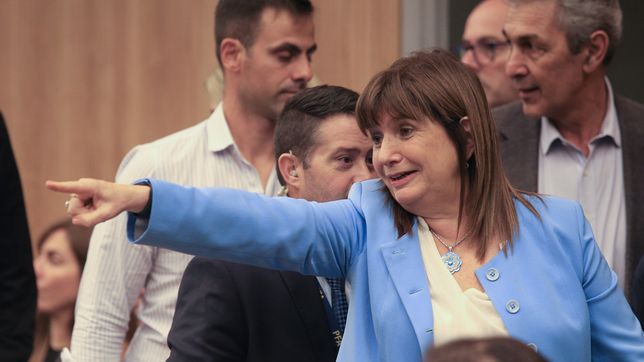 Patricia Bullrich quiere echar a Horacio Rodríguez Larreta del PRO.