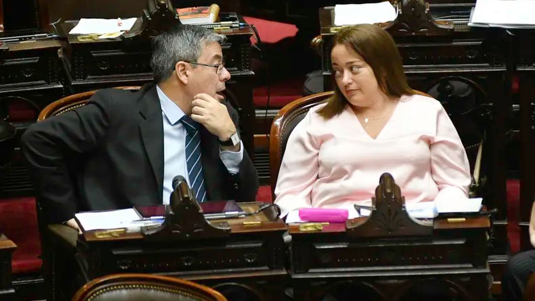 Germán Martínez y Cecilia Moreau, de Unión por la Patria. Quieren acelerar las leyes de los gobernadores. 