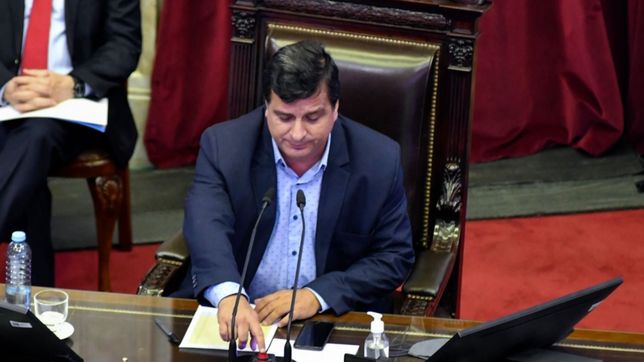 oficialismo silvestre en diputados: germino otro proyecto para correr las paso