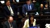El bloque del Gobierno en el Senado.&nbsp;