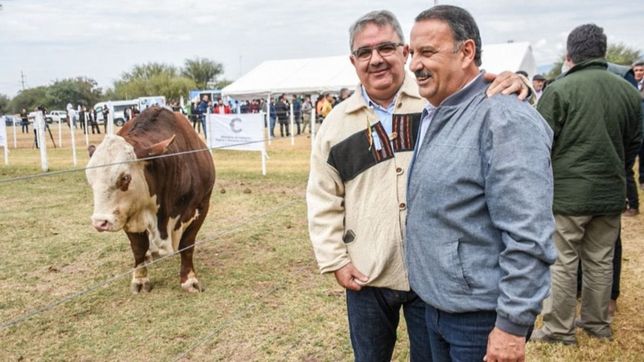 la caballeria de las provincias se suma con delay y prudencia a la massamania