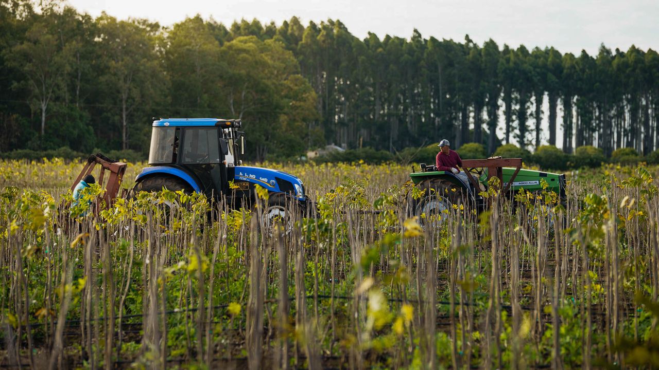 La producción agropecuaria y sus derivados con valor agregado, motor de la producción y desafío de logística en la Región Centro