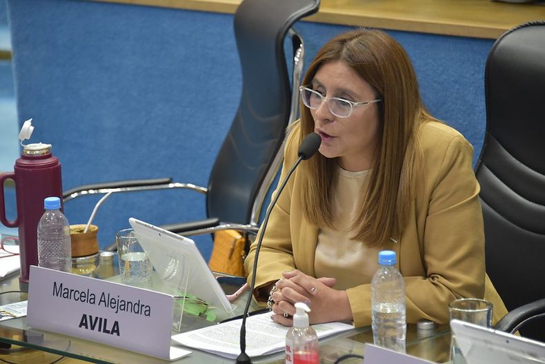 Marcela Ávila, la legisladora de confianza para la transición.