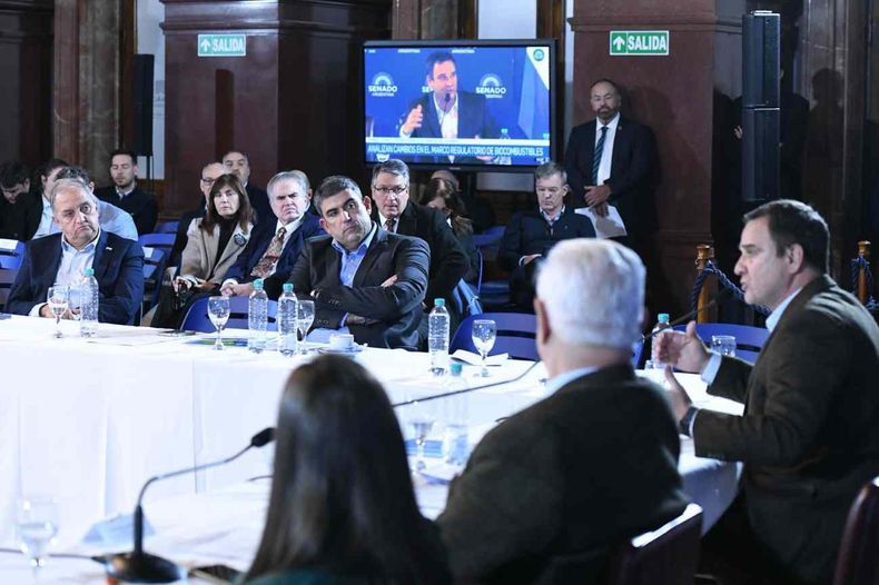 La ley de biocombustibles se debate en el Senado nacional 
