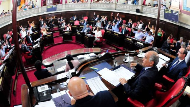 vidal evalua reemplazo de la contadora inza en un senado desconcertado y alerta