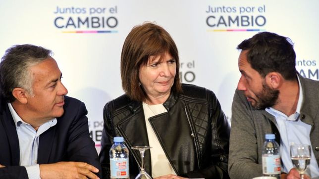 bullrich retoma lazos con milei y la coalicion civica pone el grito en el cielo
