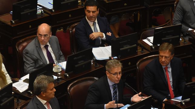 El bloque radical del Senado, dividido por Ganancias. 