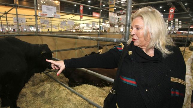 reaparecio carrio: del enojo con macri a la amenaza de competir en 2023