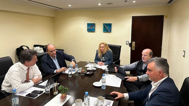 karina milei armo una cumbre para organizar la fiscalizacion y excluyo al pro