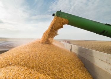 En la provincia de Vidal, las exportaciones del agro superan a las industriales