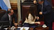 Discapacidad: la oposición tiene el número en el Senado para rechazar el veto y presiona a Javier Milei
