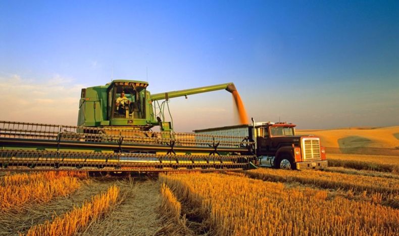 Argentina puede aprovechar precios internacionales de commodities en la economía global, y la baja del riesgo país