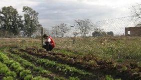 Provincia lanza “Campaña de Trabajo, Salud y Medio Ambiente Hortícola y Florícola”