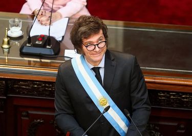 Javier Milei y el ajuste