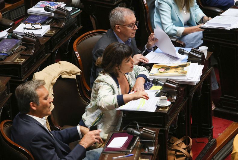 Carolina Gaillard.Télam. Carolina Gaillard.Télam.