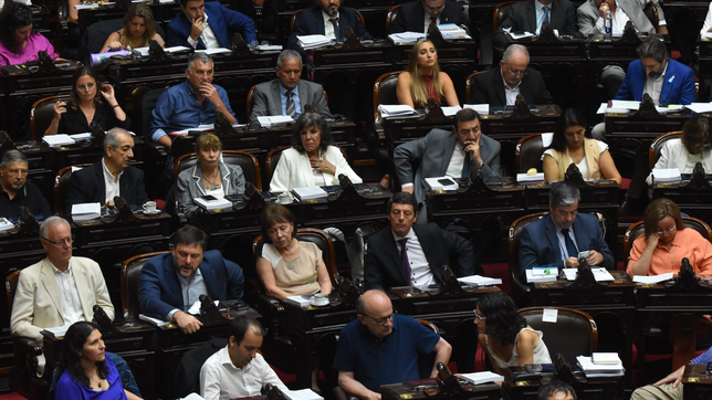 ley omnibus: las imagenes de la historica sesion en diputados