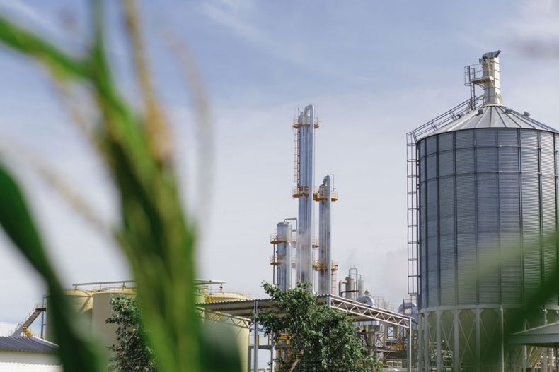 Los productores acusan a Javier Milei por llevar adelante un “política destinada a perjudicar a la industria del Biodiesel”. 