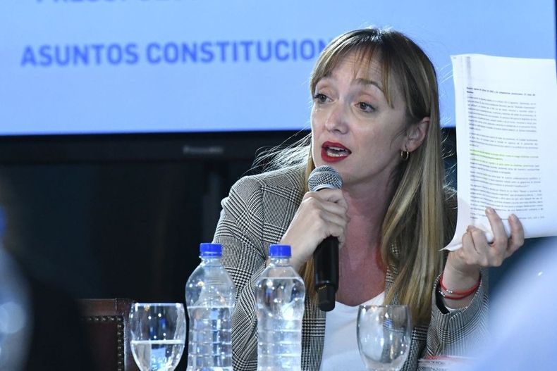 Anabel Fernández Sagasti. Anabel Fernández Sagasti.