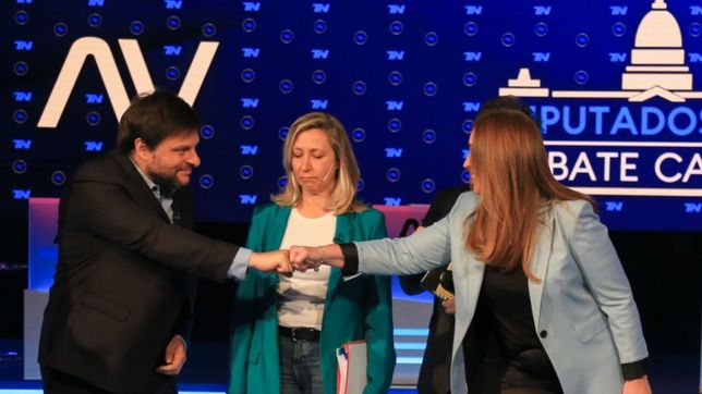 profesionales de la grieta