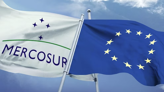 mercosur-ue, libre comercio y las deudas de milei