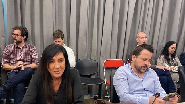 el pro se aparto de milei y apoyo el financiamiento educativo de massa