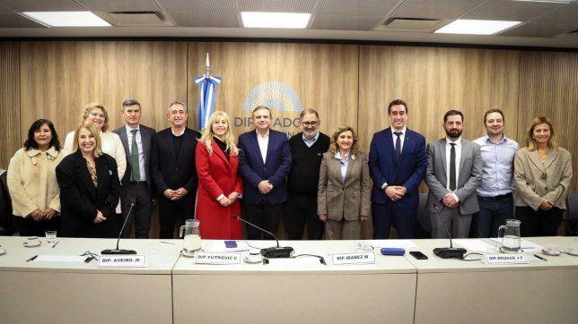 Liga de intendentes, liderados por Daniel Passerini, en Diputados, contras las políticas de ajuste de Javier Milei.