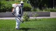 Manuel Adorni culpó de los mosquitos al gobierno anterior.