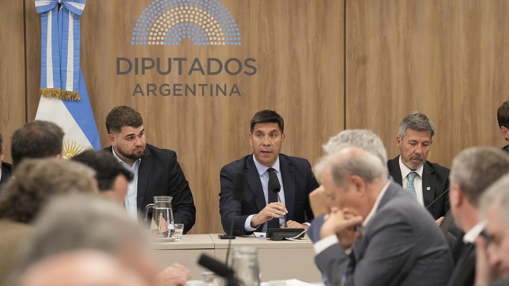 El debate de biocombustibles en diputados.&nbsp;