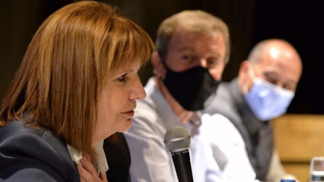 halcones en rio negro: el pro apuesta al apoyo de bullrich en la interna de jxc