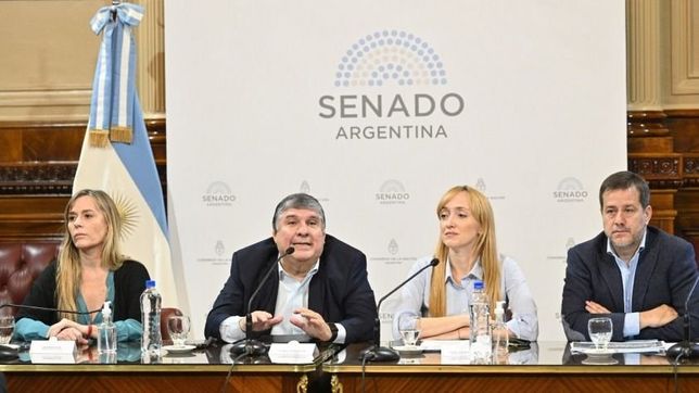 senado: entro el proyecto k para una nueva moratoria jubilatoria