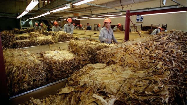 el culebron de la ley omnibus dejo al rojo vivo a la industria del tabaco